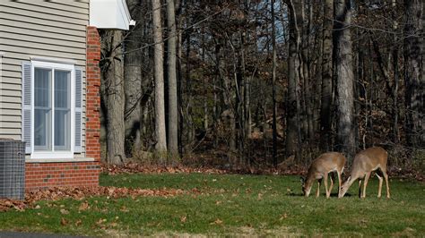 NJ needs strong affordable housing regulations .